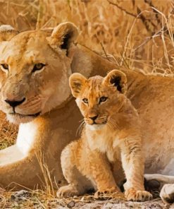 Aesthetic Lioness And Cubs paint by number