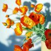 Aesthetic Orange Poppies paint by number