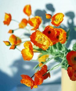 Aesthetic Orange Poppies paint by number