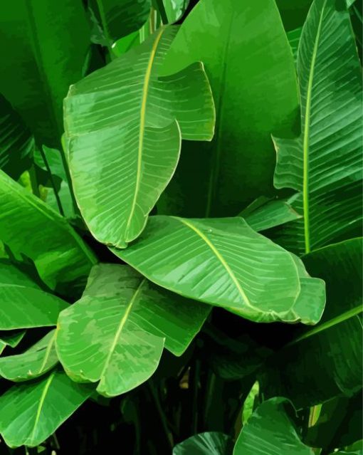 Banana Leaf paint by number