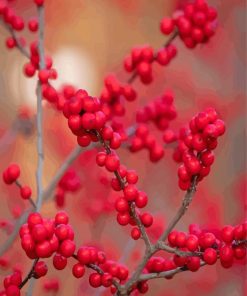 Berries In Winter paint by number