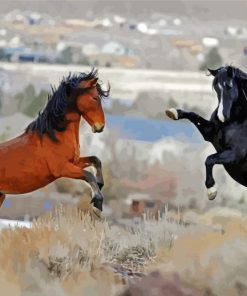 Black And Brown Horses In The Wild paint by number