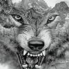 Black And White Wolf Mountain Art paint by number