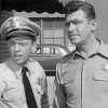 Black And White Andy Griffith Show paint by number