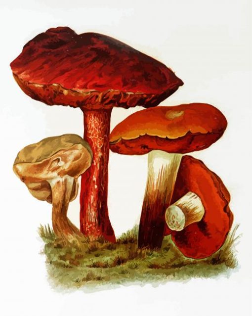 Brown Retro Mushrooms paint by number