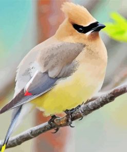 Cedar Waxwing On A Branch paint by number