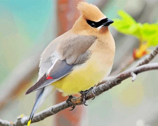 Cedar Waxwing On A Branch paint by number