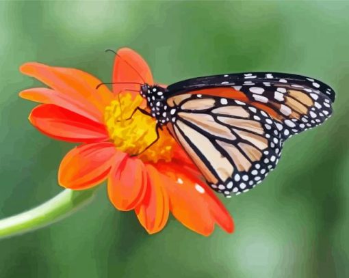 Cool Orange Flower With Butterfly paint by number