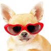 Cute Dog With Red Glasses paint by number