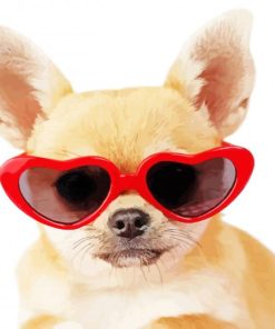 Cute Dog With Red Glasses paint by number