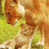 Female Lion With Cub paint by number