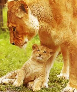 Female Lion With Cub paint by number