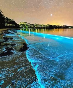 Glowing Algae Landscape paint by number