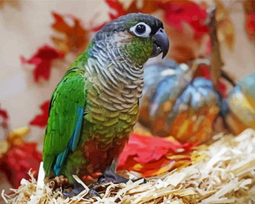 Green Cheek Conure Parakeet Bird paint by number