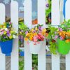 Hanging Flowers And Fence paint by number