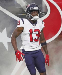 Houston Texans paint by number