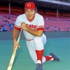 Johnny Bench paint by number