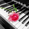 Piano With Pink Rose Flower paint by number