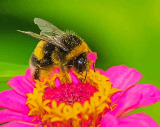 Pink Flower And Bee paint by number