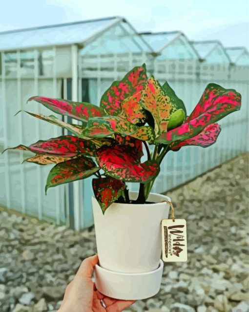 Pink And Green Plants In Pot paint by number