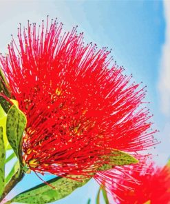 Red Pohutukawa Flower paint by number