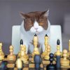 Serious Cat Playing Chess paint by number