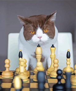 Serious Cat Playing Chess paint by number