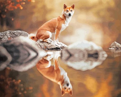 Sitting Dog Reflection paint by number