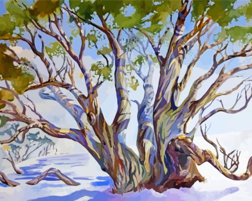 Snow Gums Trees Art paint by number