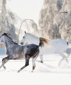 Snow Horse Animals paint by number