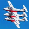 Snowbirds Aircraft paint by number