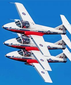 Snowbirds Aircraft paint by number