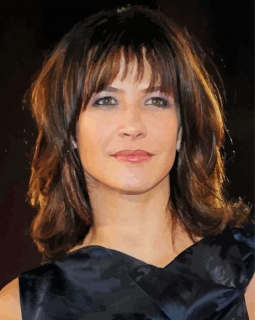 The Actress Sophie Marceau paint by number