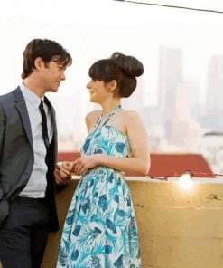 500 Days Of Summer Scene paint by number