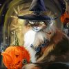 Aesthetic Cat Witch Paint By Number