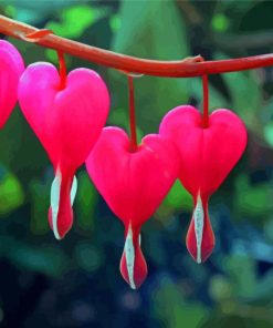 Asian Bleeding Heart Plant Paint By Numbers