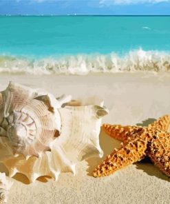 Beach Shells And Starfish Paint By Numbers