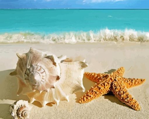 Beach Shells And Starfish Paint By Numbers