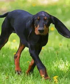 Black And Tan Coonhound Paint By Numbers