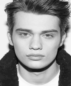 Black And White Handsome Nicholas Galitzine Paint By Numbers