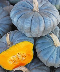 Blue Autumn Pumpkin paint by number