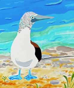 Blue Footed Booby Bird Art Paint By Numbers