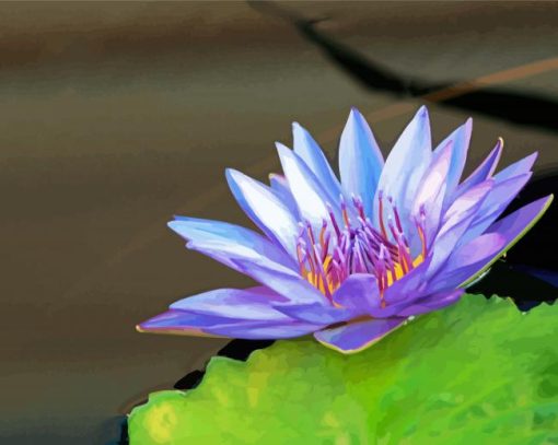 Blue Lotus Art Paint By Numbers