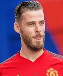 David De Gea Paint By Numbers