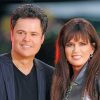 Donny And Marie Paint By Number