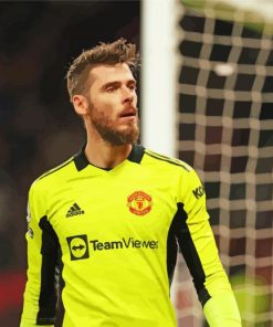 Football Player David De Gea Paint By Numbers