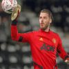 Footballer David De Gea Paint By Numbers