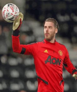 Footballer David De Gea Paint By Numbers