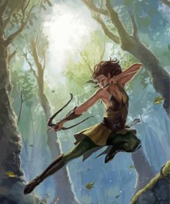 Forest Warrior Elf Paint By Numbers