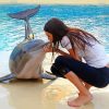 Girl Kissing Dolphin paint by number